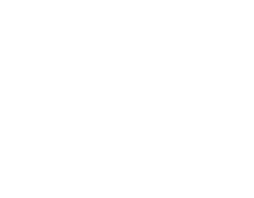정식로고